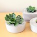 Indoor/Outdoor and Awesome Concrete Planter -Square-