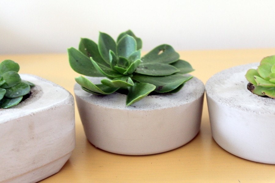 Indoor/Outdoor and Awesome Concrete Planter -Circle-