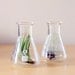 Beaker Geekery