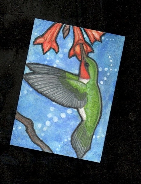 Ruby throated hummingbird original art ACEO