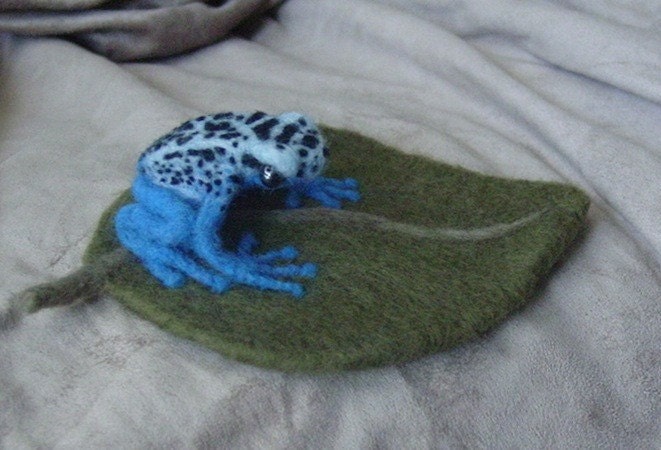 Needle felted dart frog ooak