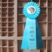 You Are A Prize - Prize Ribbon Blue Award Rosette