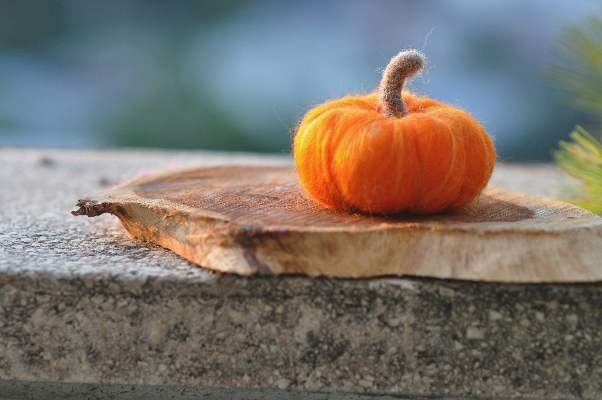 Needle Felted Waldorf Halloween , Harvest and Thanksgiving  decoration-Needle Felted Wool   Autumn Pumpkin--needle felt by Daria Lvovsky-