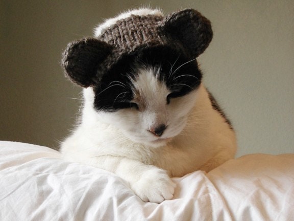 knitting pattern - bear pet costume