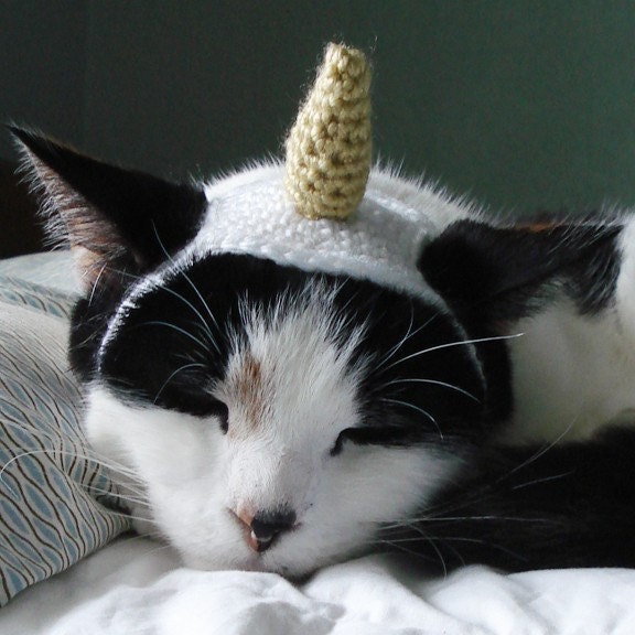 pet hat - unicorn