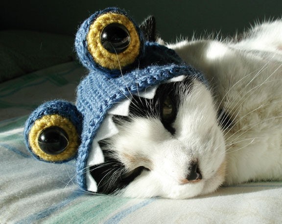 pet hat - monster