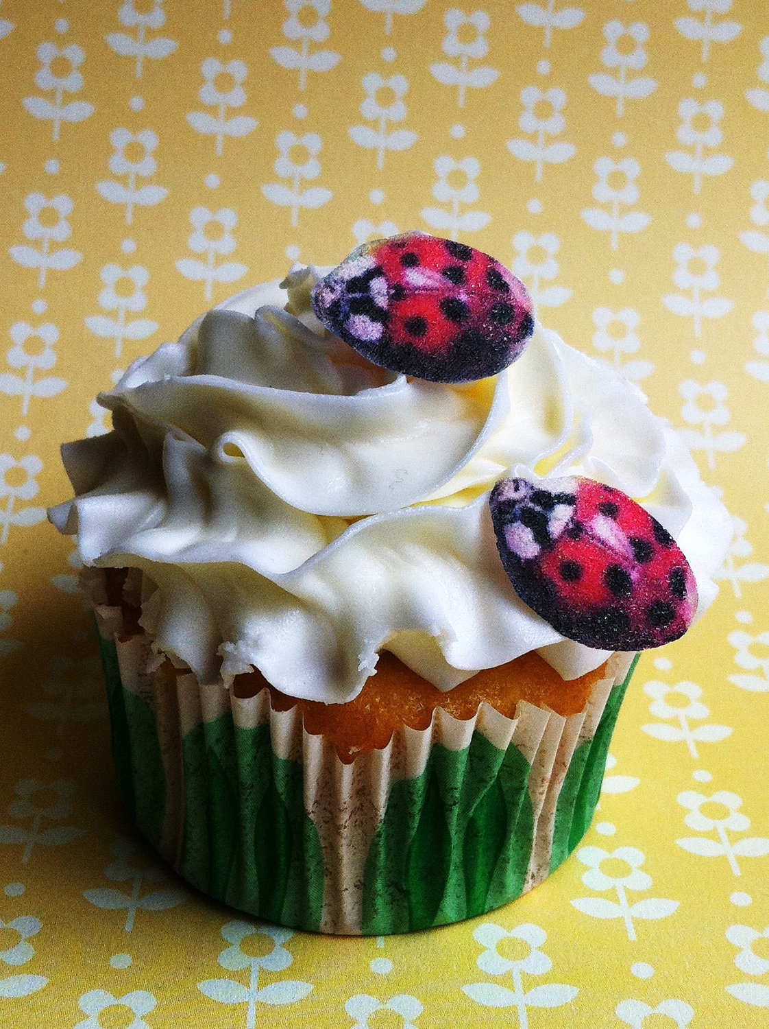 Edible Lady Bugs - Cake & Cupcake toppers - Food Accessories - SugarRobot
