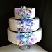 The Original EDIBLE BUTTERFLIES - Assorted Purple and Green set of 30 - Cake & Cupcake toppers - Food Accessories