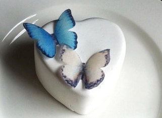 The Original EDIBLE BUTTERFLIES - Small Blue and Cream - Cake & Cupcake toppers - Food Accessories