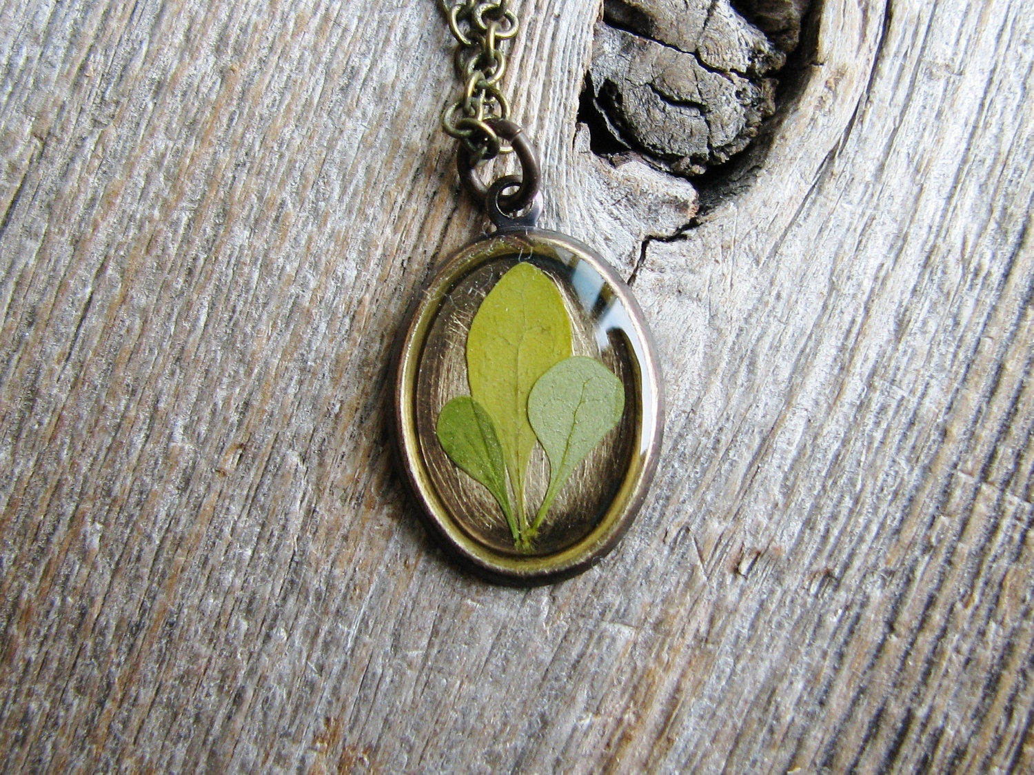Real Leaf Necklace Green Barberry Leaves Resin Pendant Antique Brass Botanical Jewelry Nature Inspired