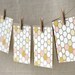 Note Card Set - Hive