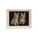 Vintage Tabby Cat Kittens Black Velvet Painting