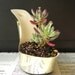 glam gold stiletto heel succulent planter