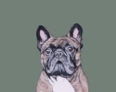 Custom Pet Portrait- Detailed  8x10