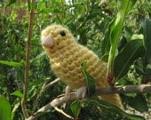 PATTERN - Canary or Song Bird Amigurumi