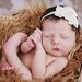 Ivory Petals Baby Flower Headband - Baby Headband - Infant Headband - Newborn Headband