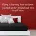Flying Quote - Douglas Adams - Vinyl Wall Decal - Painted Appearance