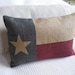 hand printed Texas State flag cushion cover