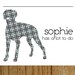 dog-plus-pattern notepads -- sophie the weimaraner
