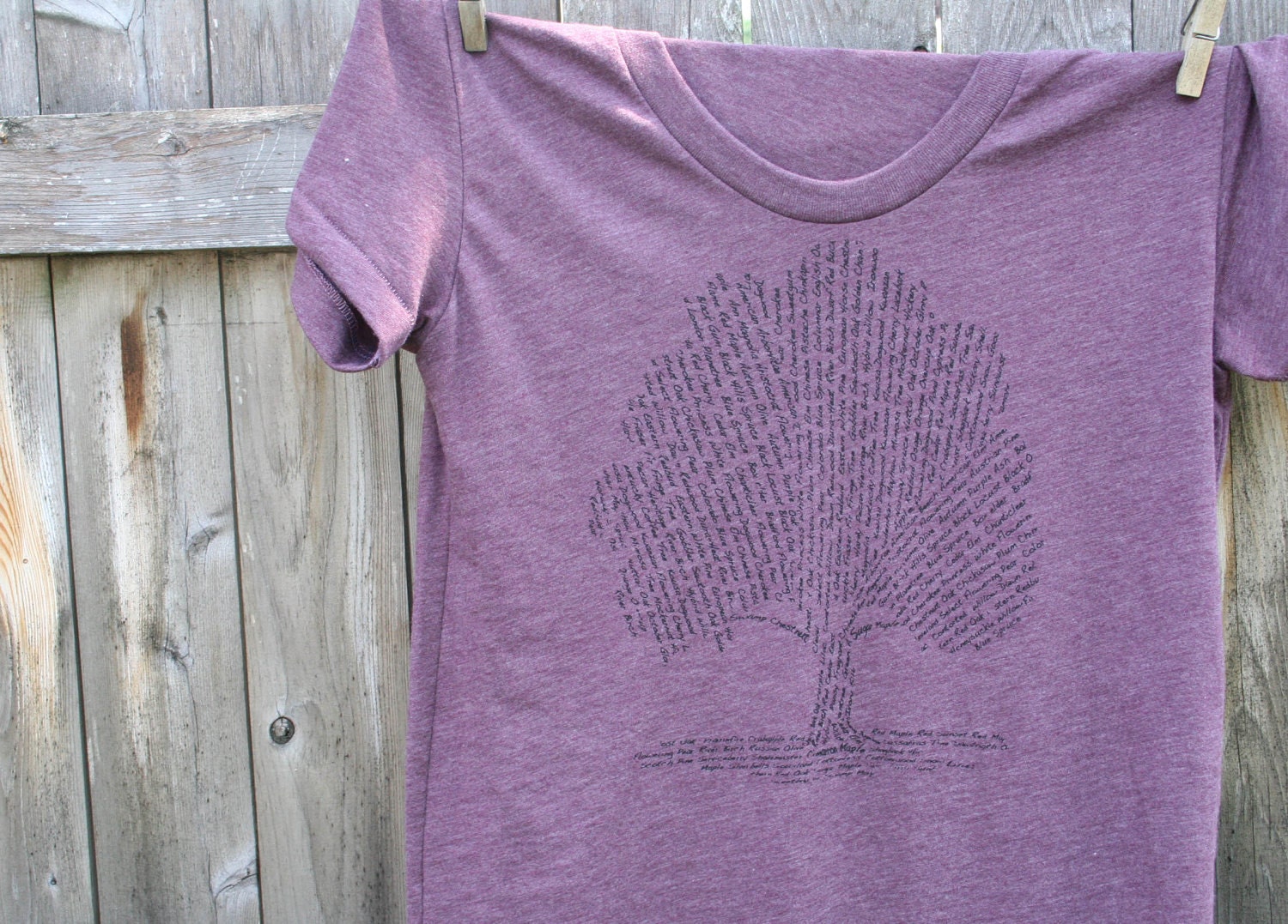 Tree Design List of tree Species Nature design American Apparel scoop neck Girl Tee in Heather Plum