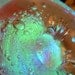 Millionare Art, Abstract Photography, Dream Art Photos by mystic2awesome