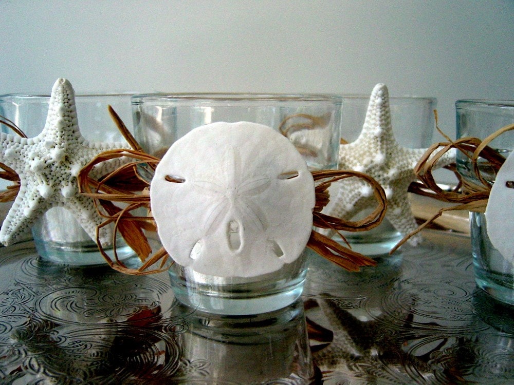 Beach Decor  Sealife Votives with Starfish and Sand Dollars, set of four