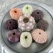 Shell Decor Sea Urchin Collection