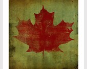 MAPLE LEAF graphic art GICLEE print 12x12 inches signed