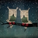 Owls In Love Starry Night OWLS 12 x 12 inch Giclee Print SIGNED