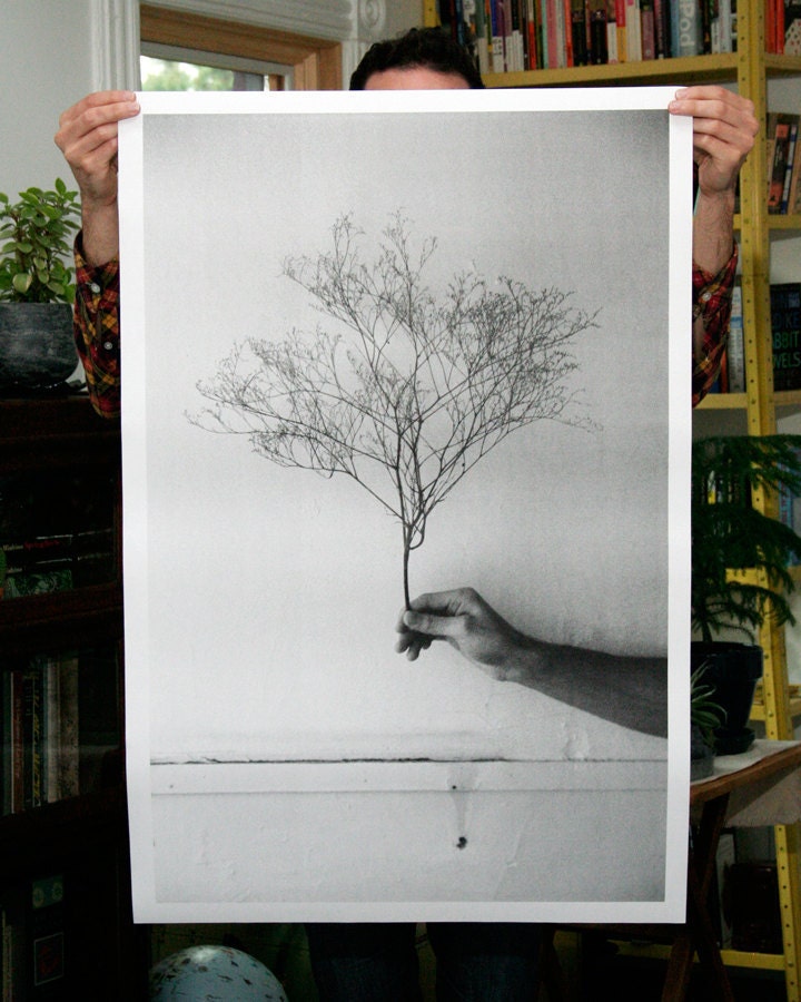 Winterous Autumnus - 24x36 Plotter Poster