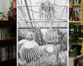 Greenhouse - 24x36 Plotter Poster