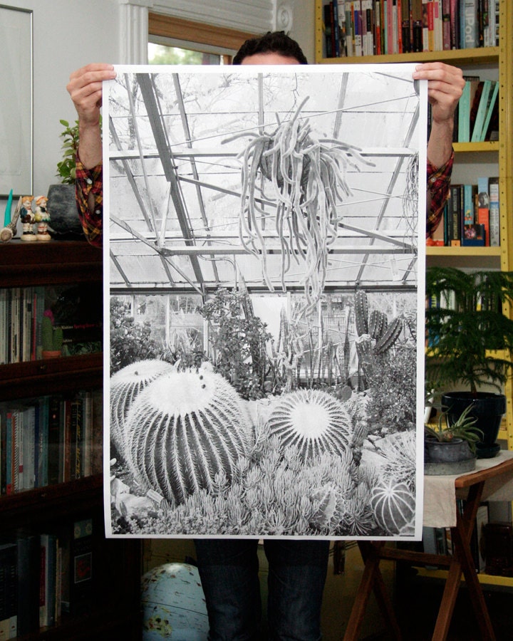 Greenhouse - 24x36 Plotter Poster
