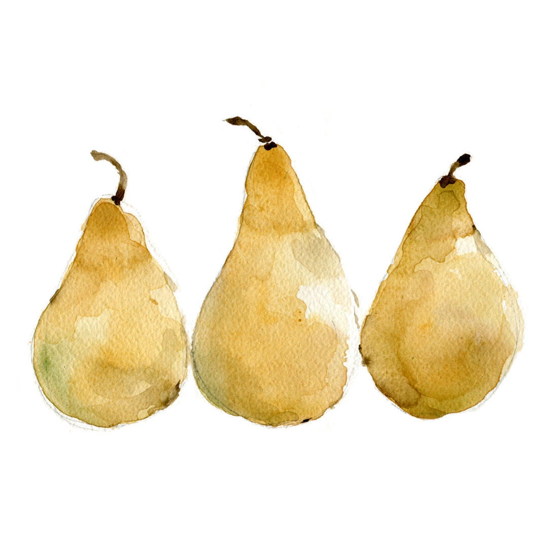 Pears Reproduction print of original  watercolor painting of 3 yellow pears still life, yellow   botanical limited edition - TheJoyofColor