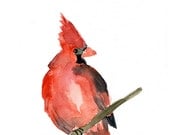 Cardinal Art Print of  original watercolor painting ,animal painting, birds,  Red, Holiday,  Christmas, wall decor,  Nursery decor .
