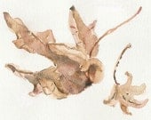 Autumn Leaves, Fine Art Print of dried leaves in shades of brown and beige, natural history , limited edition - TheJoyofColor