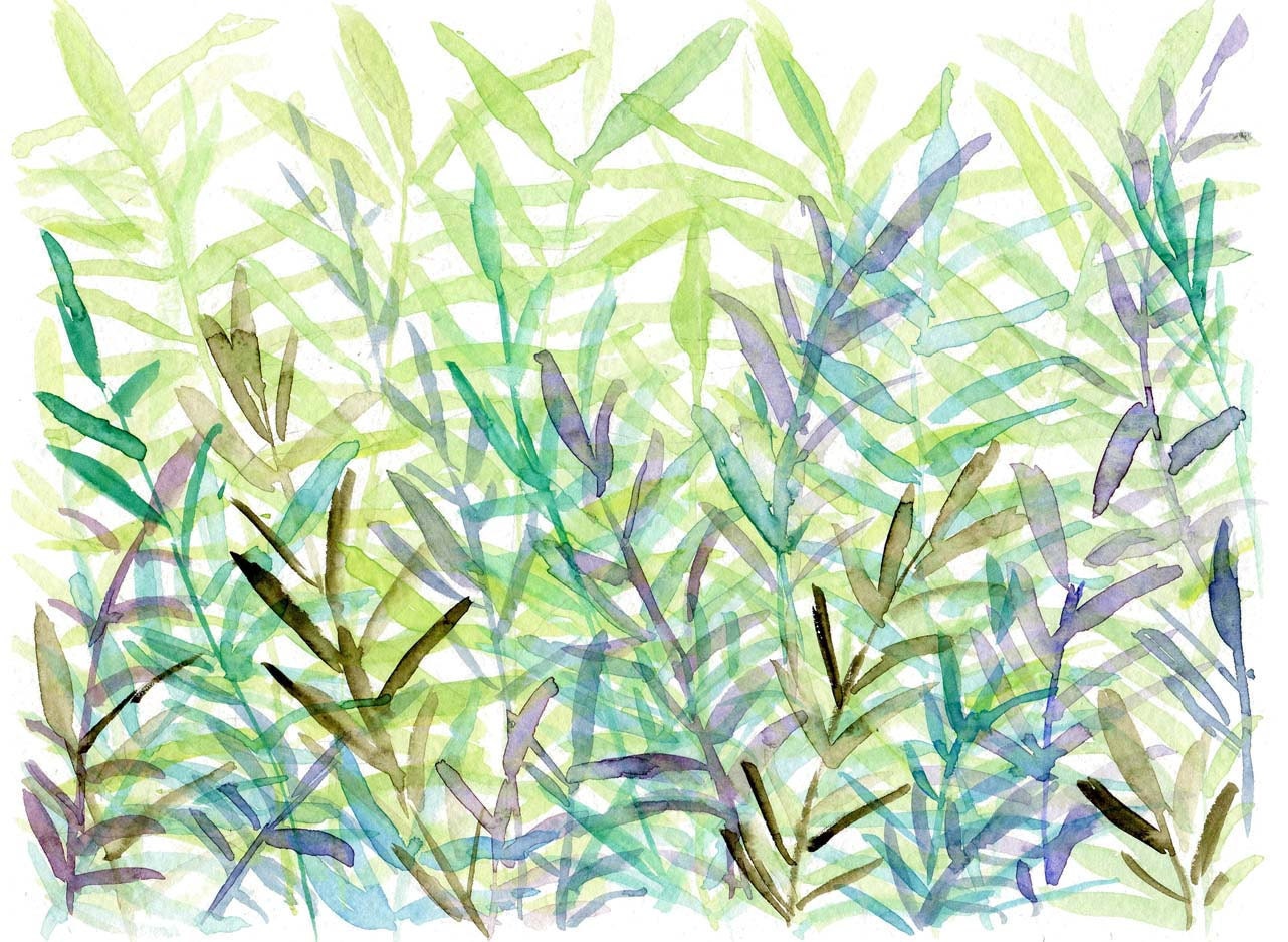 The fern forest Art Print of my original abstract watercolor painting size 16X11 woodland, wall decor,mint, green, modern art