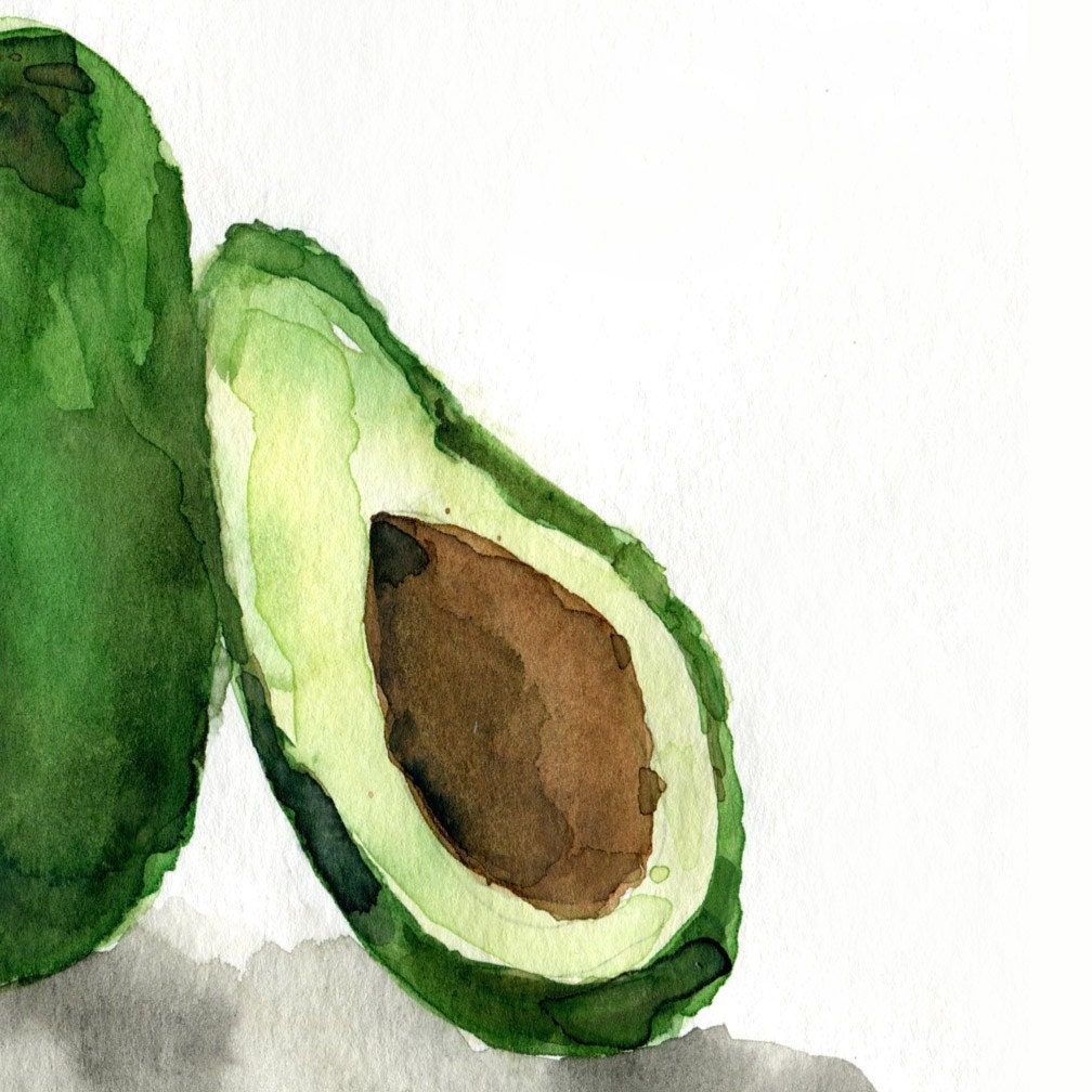 Avocado Study  No.2 artl Print of my original watercolor painting, botanical ,limited edition, still life,  kitchen art
