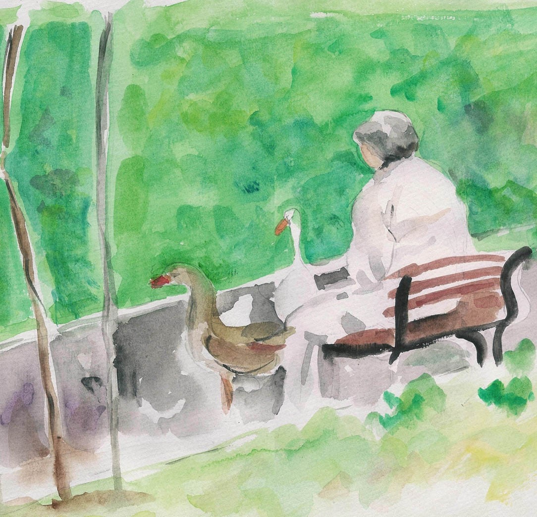 Feeding the Geese an original watercolor painting , Pastoral, relaxed , Landscape, Scenic, mothers day, outdoor, park