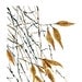 Falling Leaves art Print of original Watercolor painting of dried leaves and branches, wall decor, A3 size,  natural history, zen