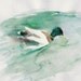 Duck in the Pond, original watercolor painting, nature, teal green and brown, calm, original art, nursery decor, birds,