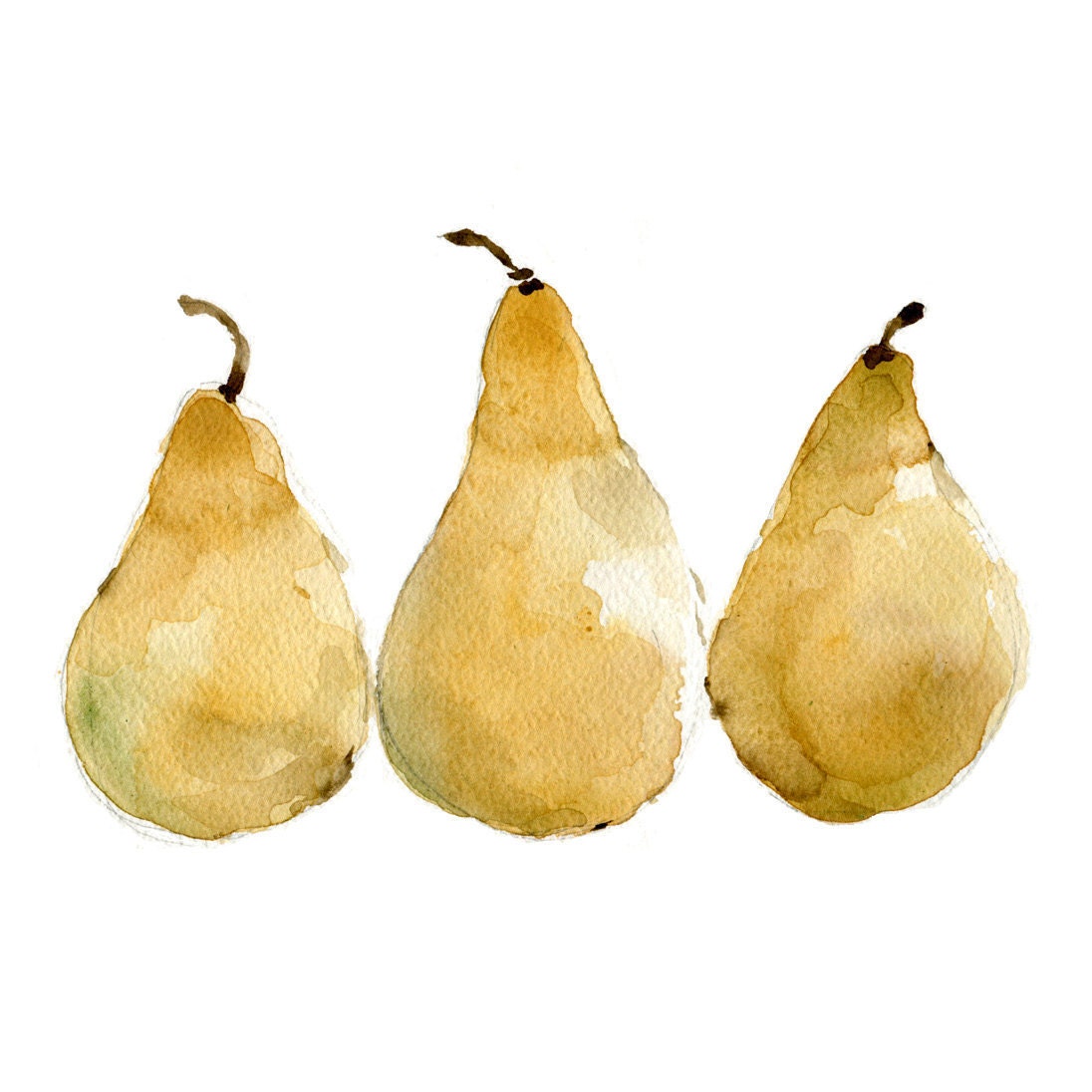 Pears art print of original  watercolor painting of 3 yellow pears, still life, yellow, botanical. kitchen art, limited edition