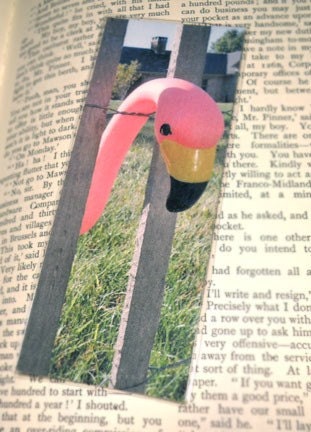 Pink Flamingo Photo Laminated Bookmark