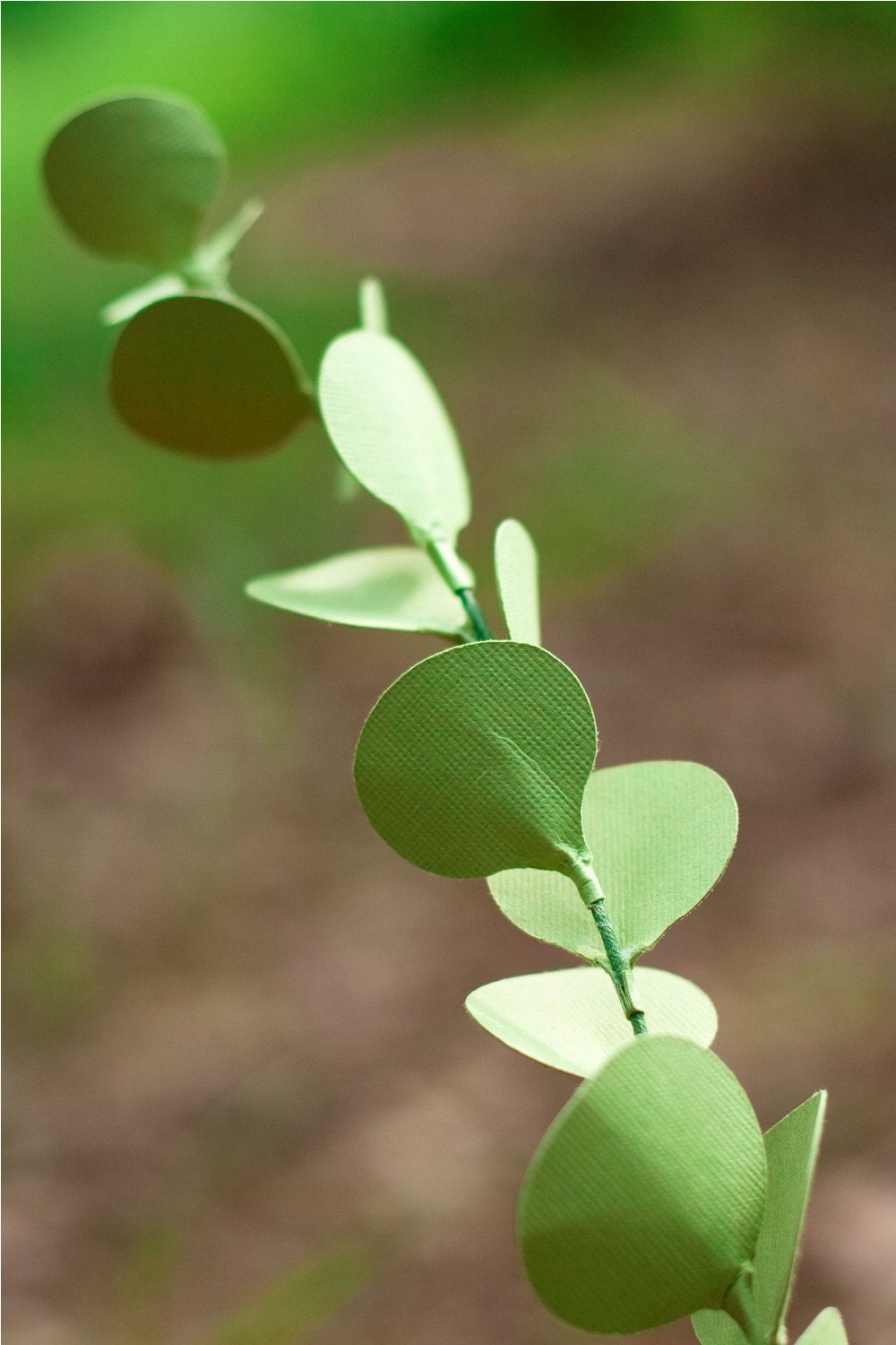eucalyptus stems - paper flowers for gift, wedding, or decor