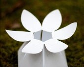 DIY paper flower favor box -  COMPLETE kit for 10 wildflower boxes