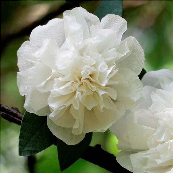 double camellia branch - handmade paper flowers for gift, wedding, or decor