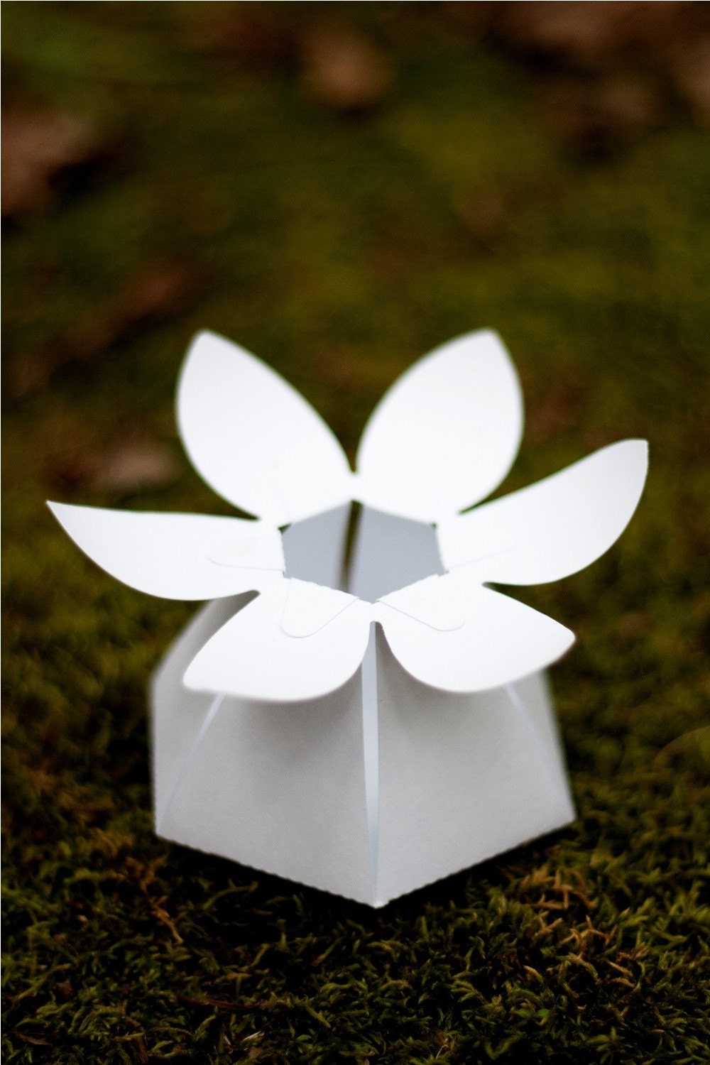 DIY paper flower favor box -  COMPLETE kit for 10 wildflower boxes