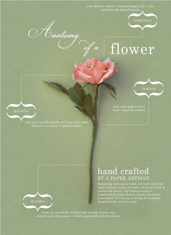 paper pansies -  paper flowers for gift, wedding, or decor