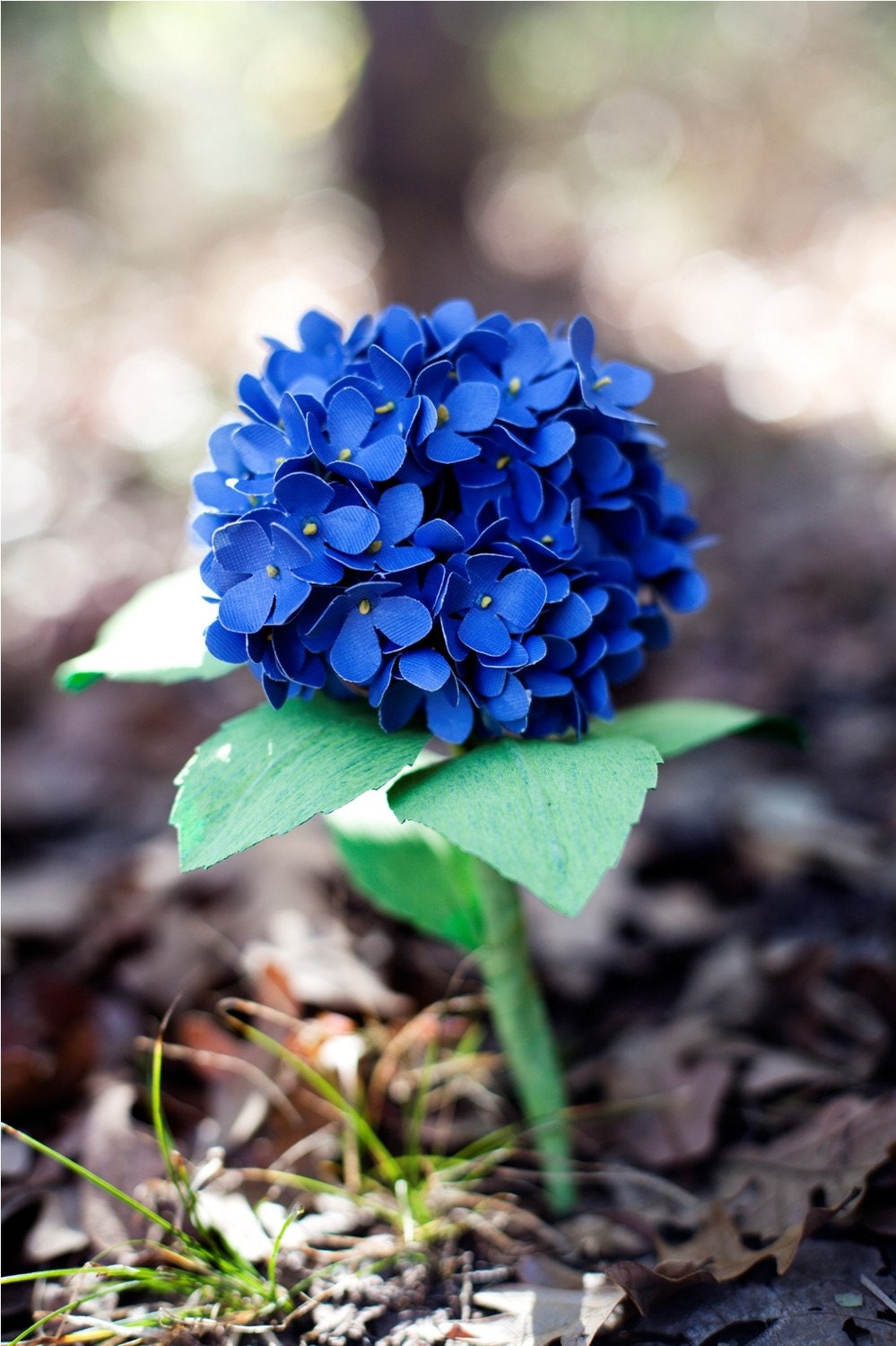paper hydrangea - paper flower for wedding, gift, or decor