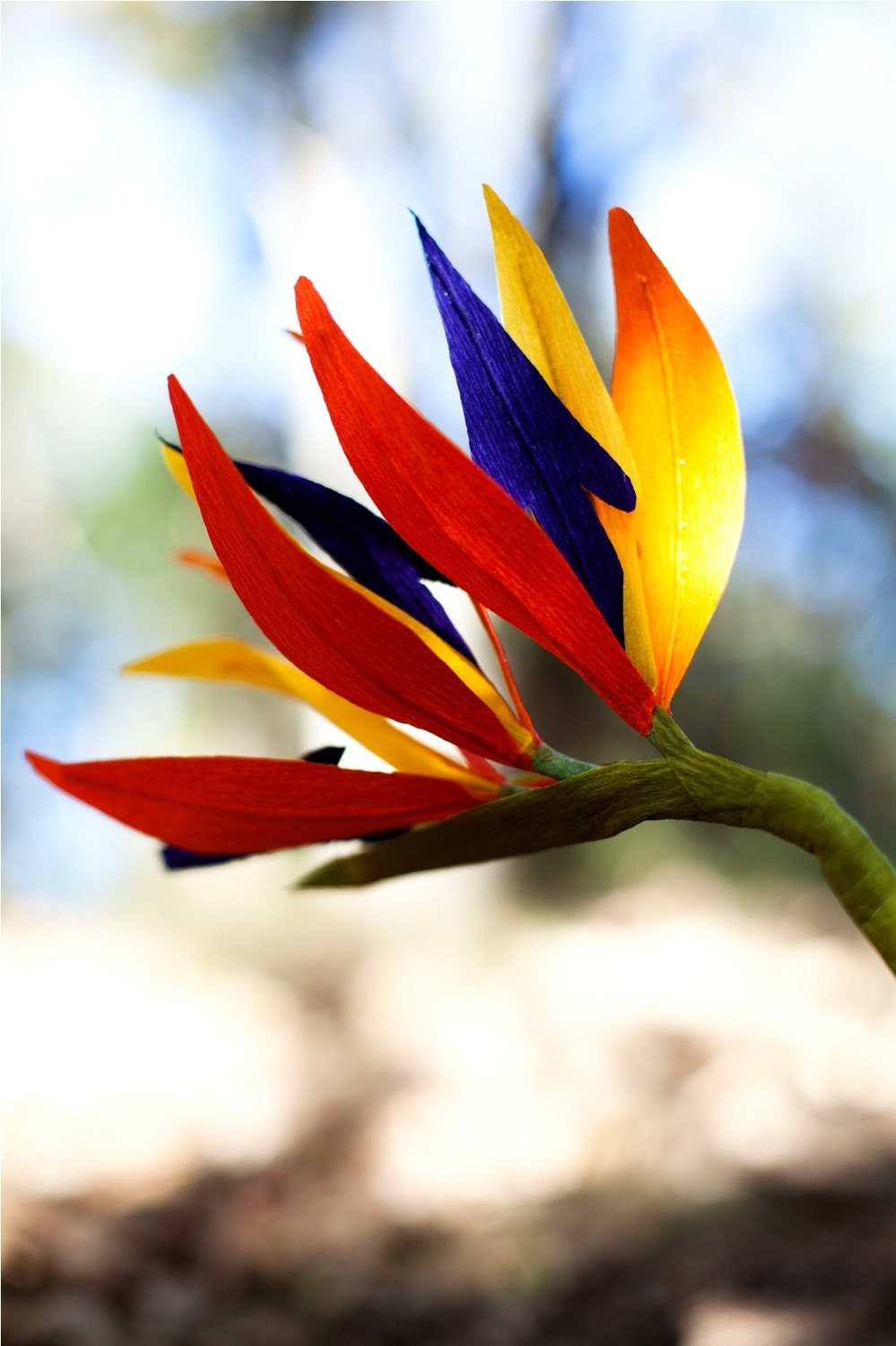 BOGO paper bird of paradise flowers - paper flowers for gift, wedding, or decor