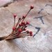 18 gauge Cherry Enameled Copper Headpins Ball End-10 Pieces, Handmade wire headpins-Enameled Supplies